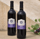 Chillag Winery’s 10th Anniversary