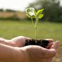 HaChava, an Urban Farm Experience
