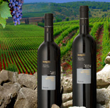 Altitude from Barkan