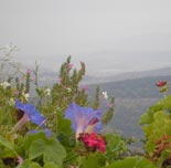 Organic Getaway at Amirim