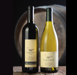 Passover Wine Suggestion 2010 