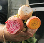 Slow Foods, Fast Market