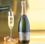 Celebrate New Year's with Israeli Bubbly 