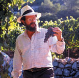 “This full bodied rich white is offering aromas of toasted brioche, butter, white flowers, fruits and hints of vanilla all leading to satisfying finish.” Yonatan Sternberg politely asks for seconds once the tasting work is done at Domain du Castel, a boutique winery in the Judean Hills near Jerusalem. 